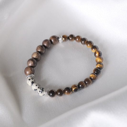 Tiger's Eye And Dalmatian Jasper Bracelet